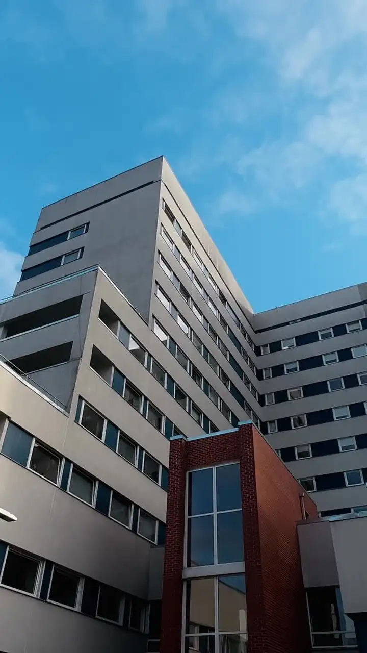 Episodio 1 de Accidentalmente embarazada del Alfa