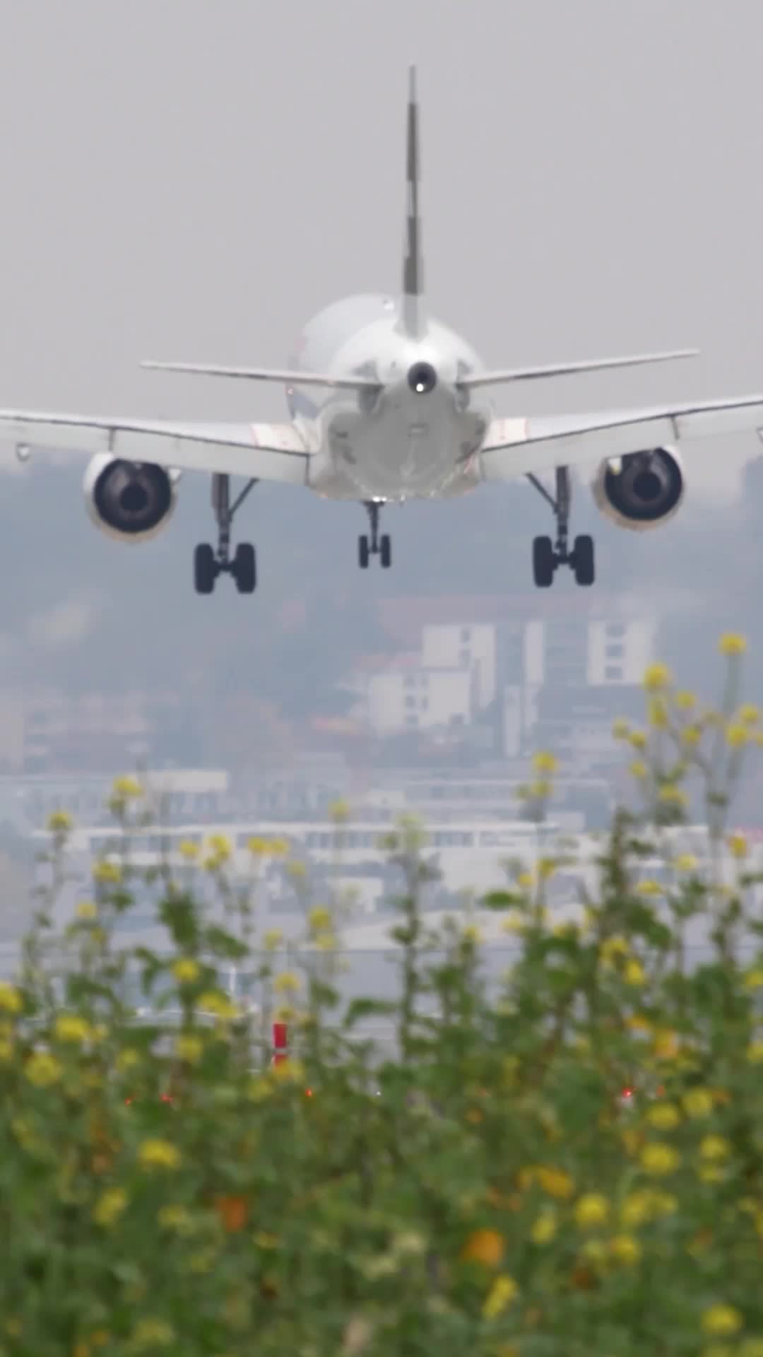 Episodio 5 de Ajuste de Cuentas en el Vuelo