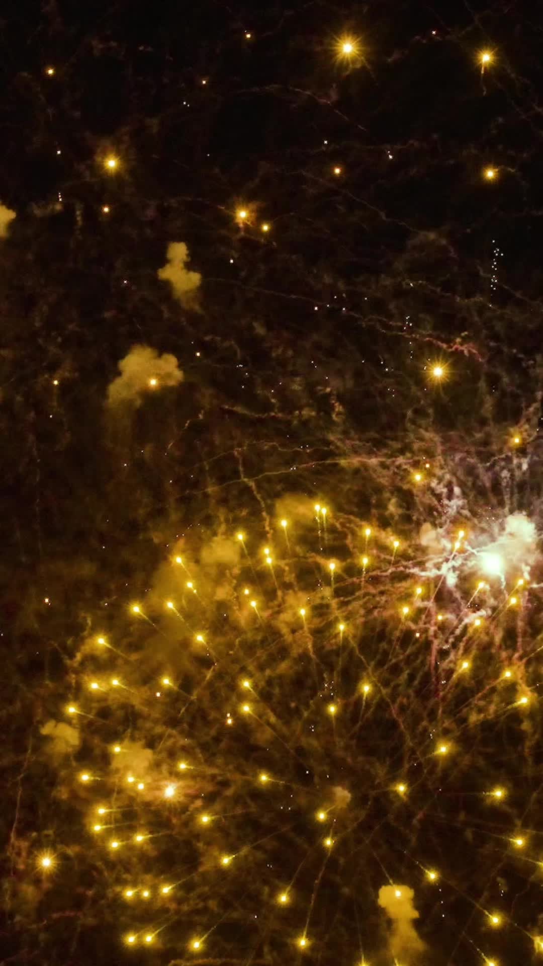 Episodio 1 de Alquilé un marido multimillonario para la Navidad