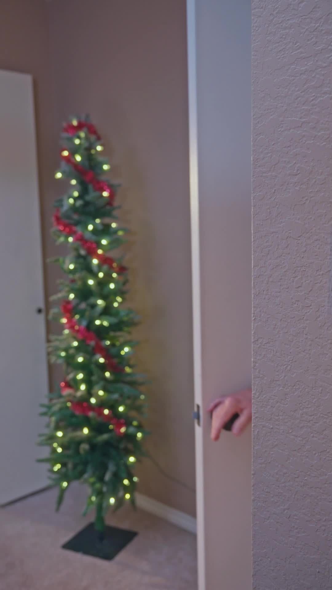 Episodio 28 de Alquilé un marido multimillonario para la Navidad