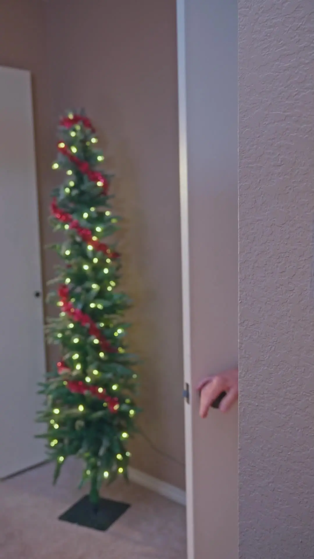 Episodio 28 de Alquilé un marido multimillonario para la Navidad