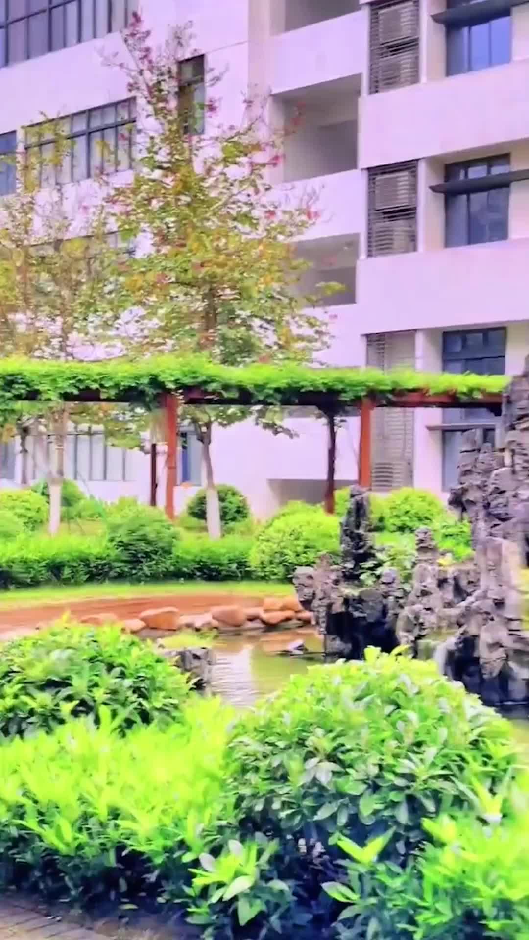 Episodio 80 de Amor Callado