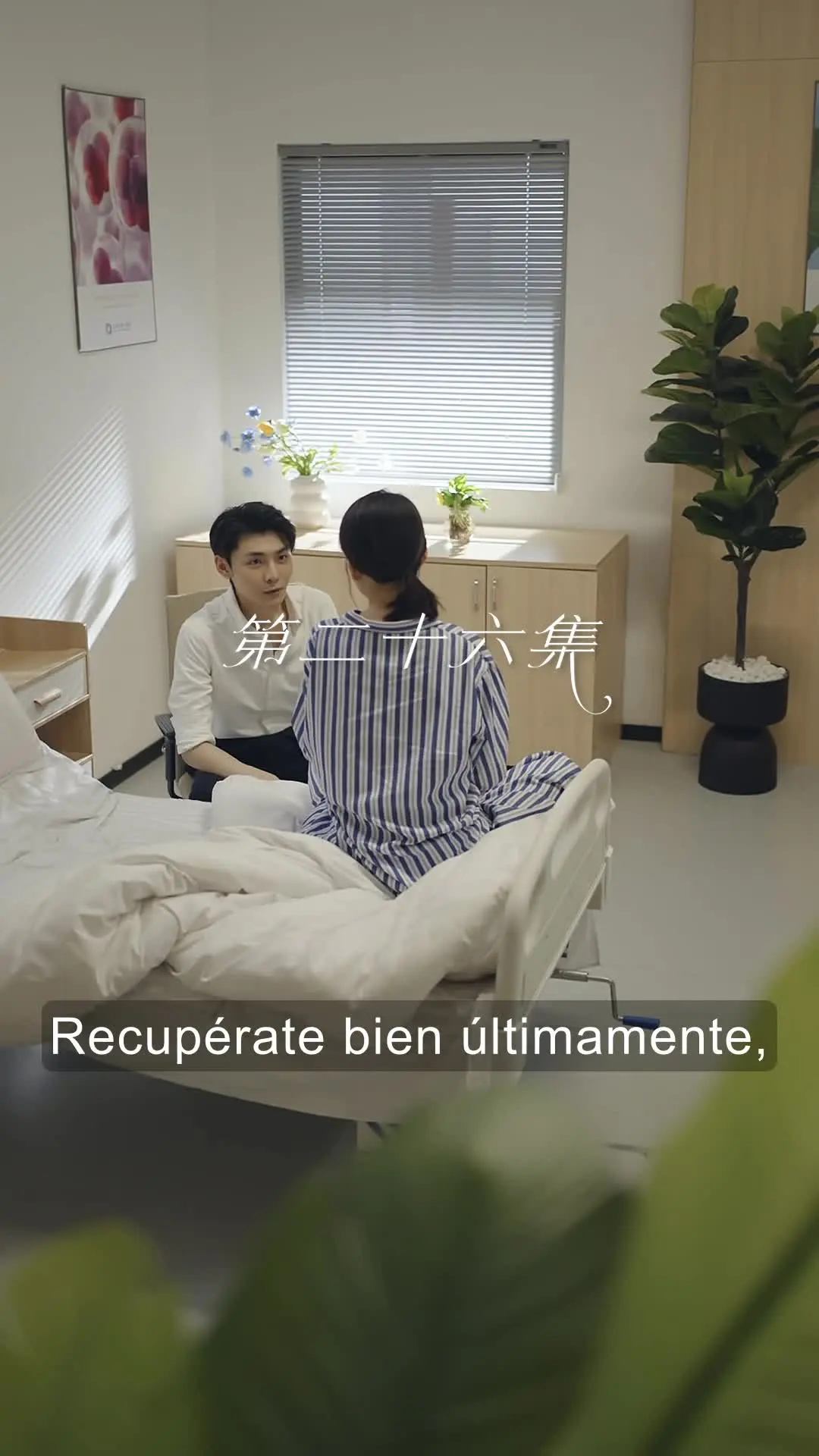 Episodio 26 de Amor Olvidado, Corazón Reencendido