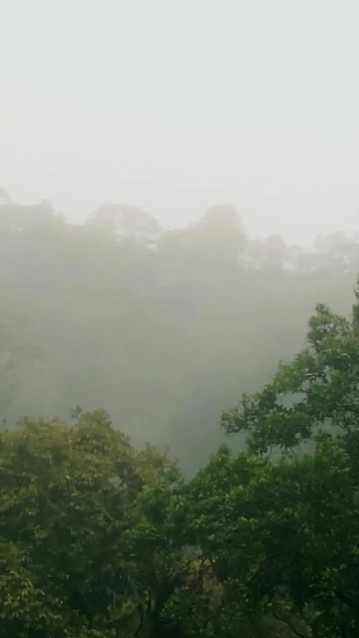 Episodio 4 de Atracción fatal: la princesa híbrida