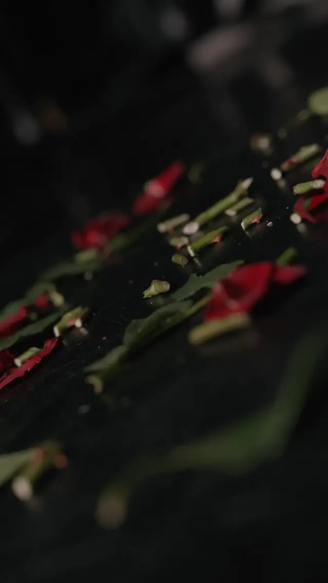 Episodio 17 de Atracción fatal: romance mafioso