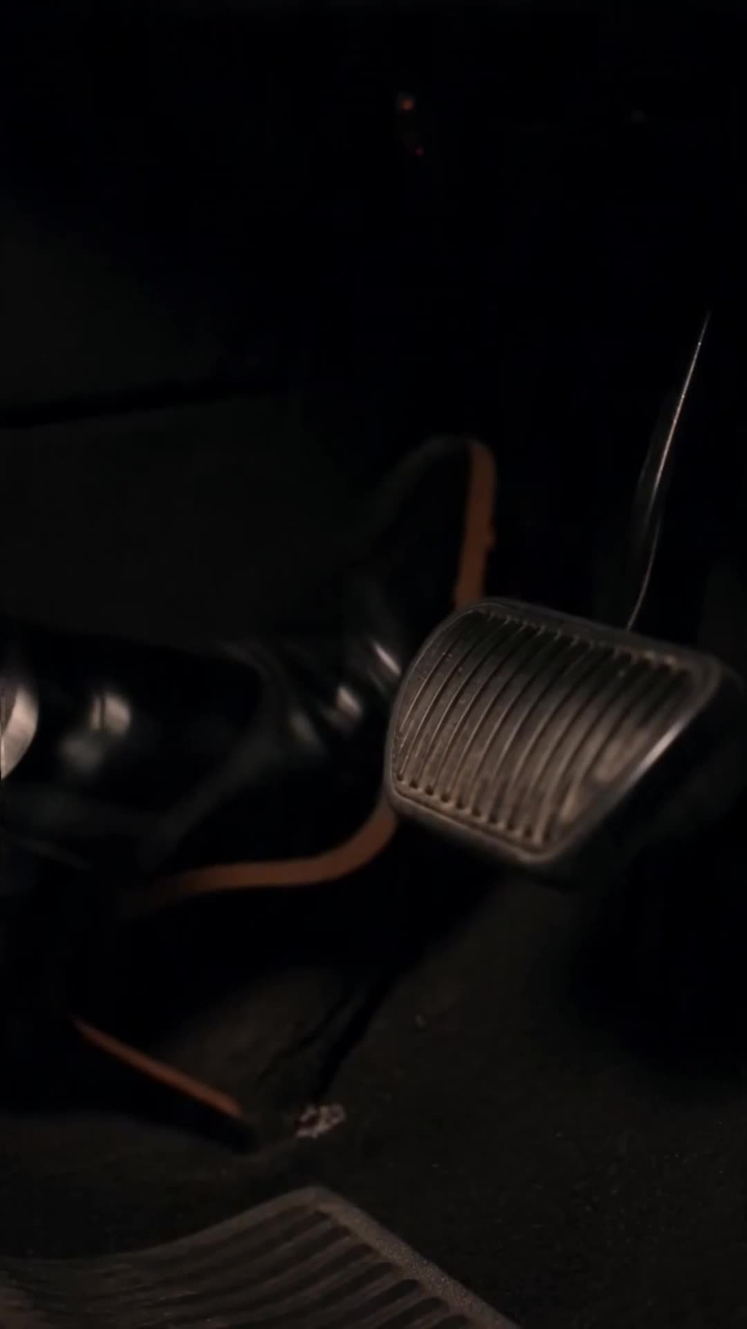 Episodio 25 de Atrapada entre los gemelos de la mafia