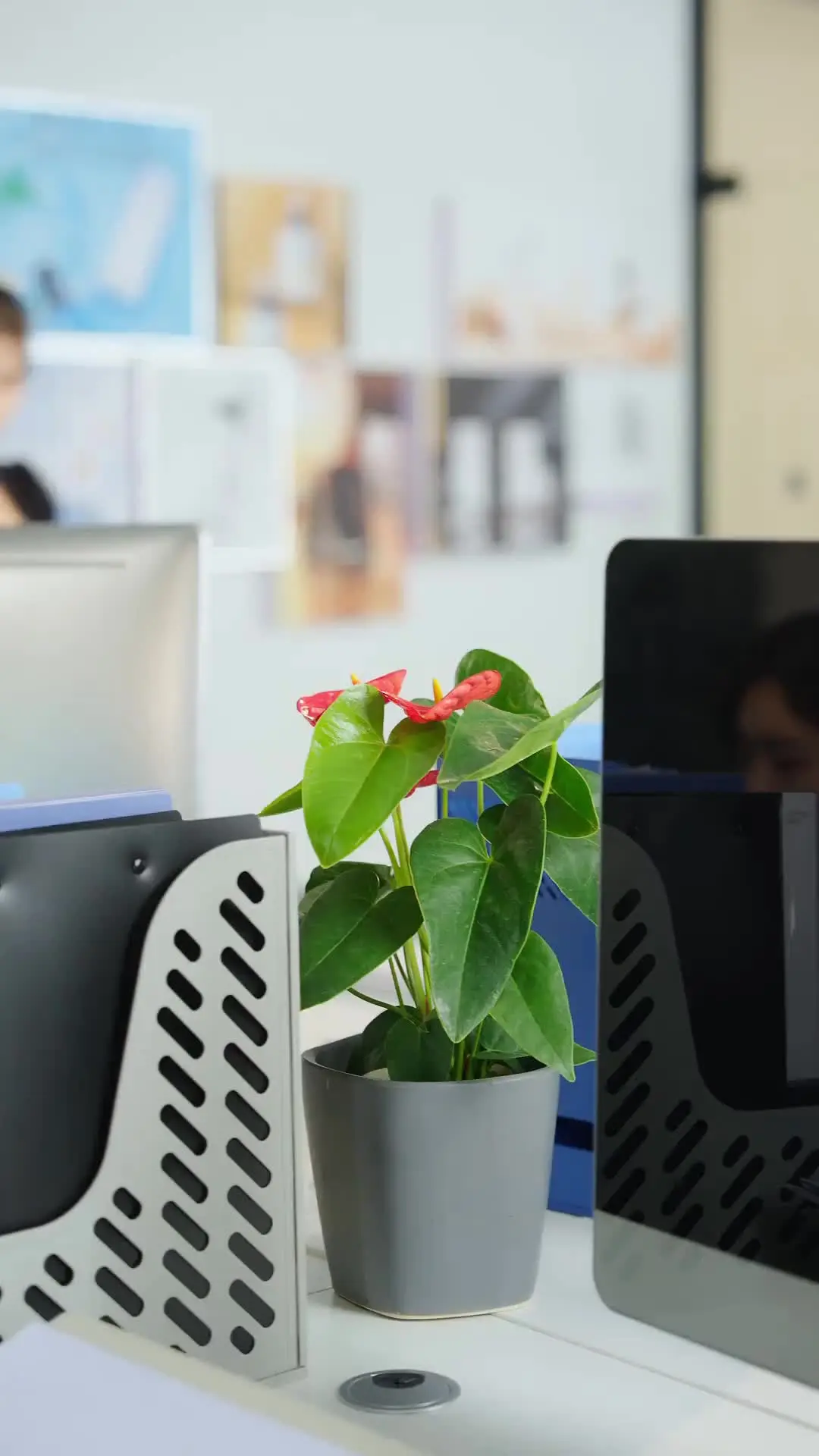 Episodio 25 de CEO,la practicante es su mujer