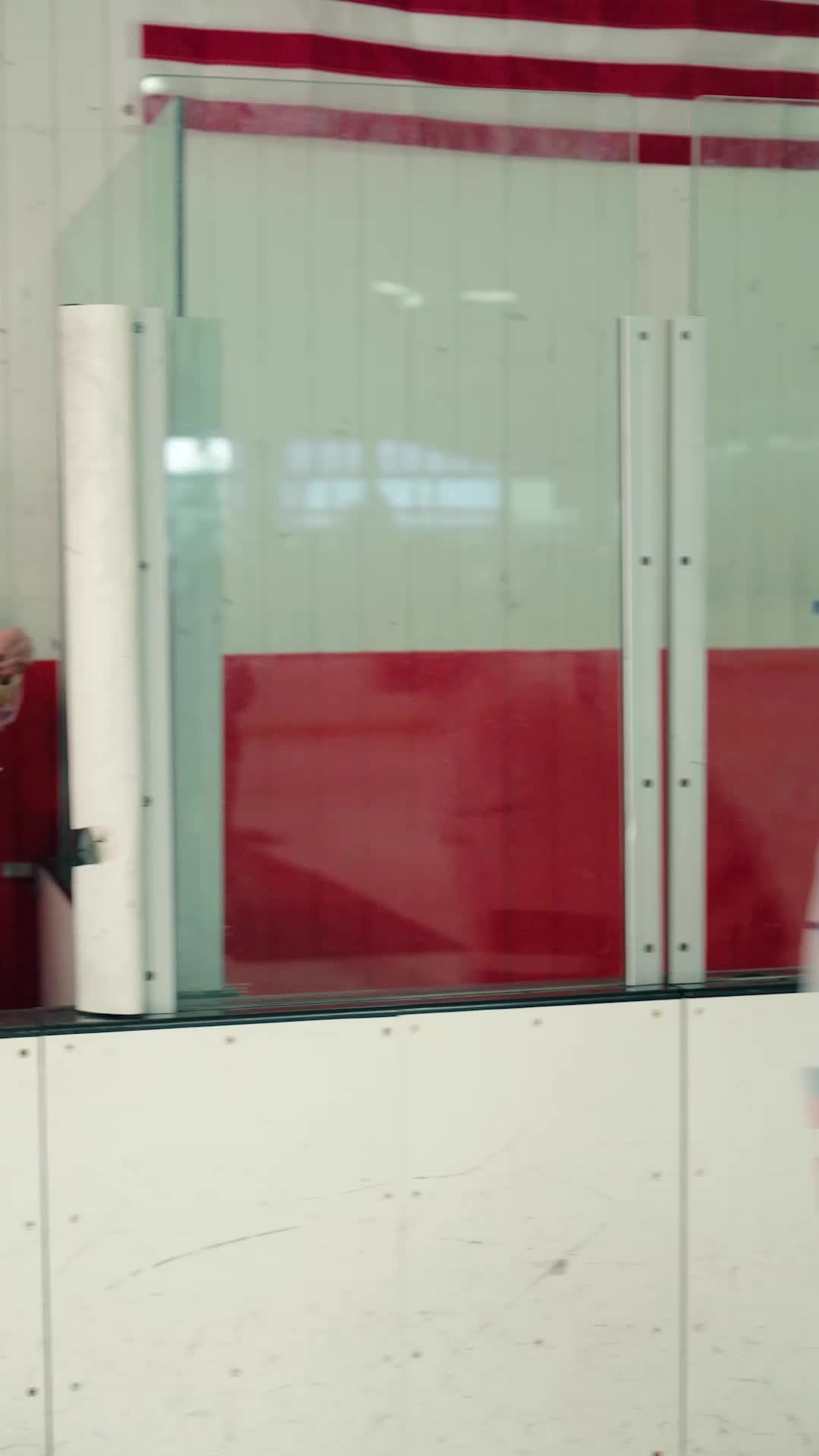 Episodio 53 de Cómo Deshacerse de una Estrella del Hockey