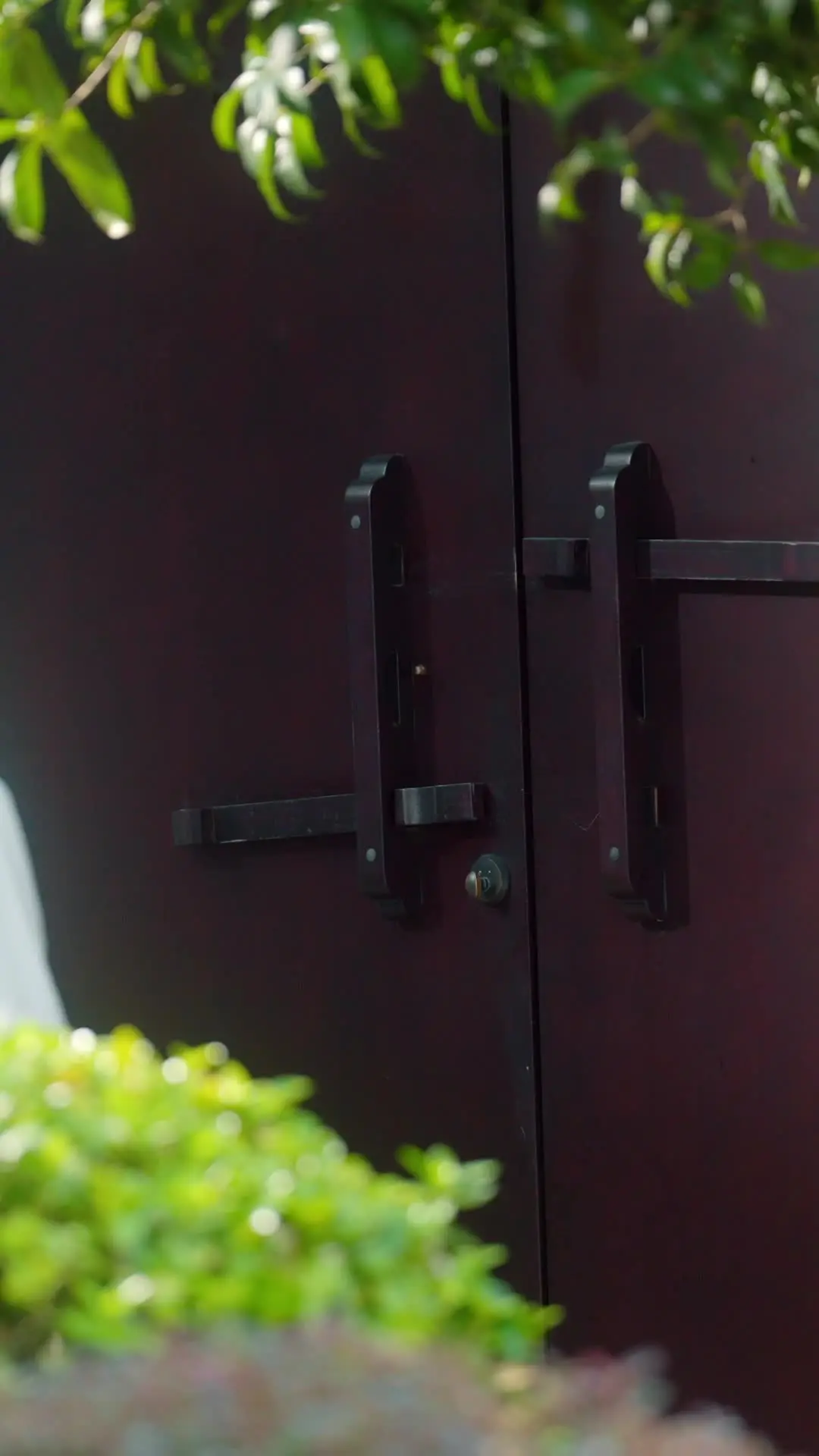 Episodio 26 de Corazón helado, deseo ardiente