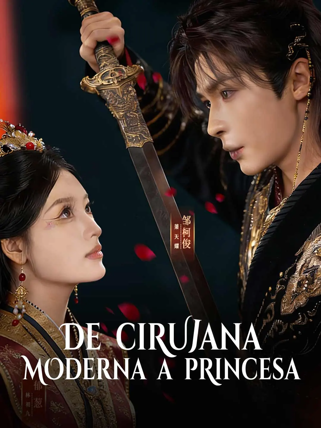 Portada de la miniserie De cirujana moderna a princesa