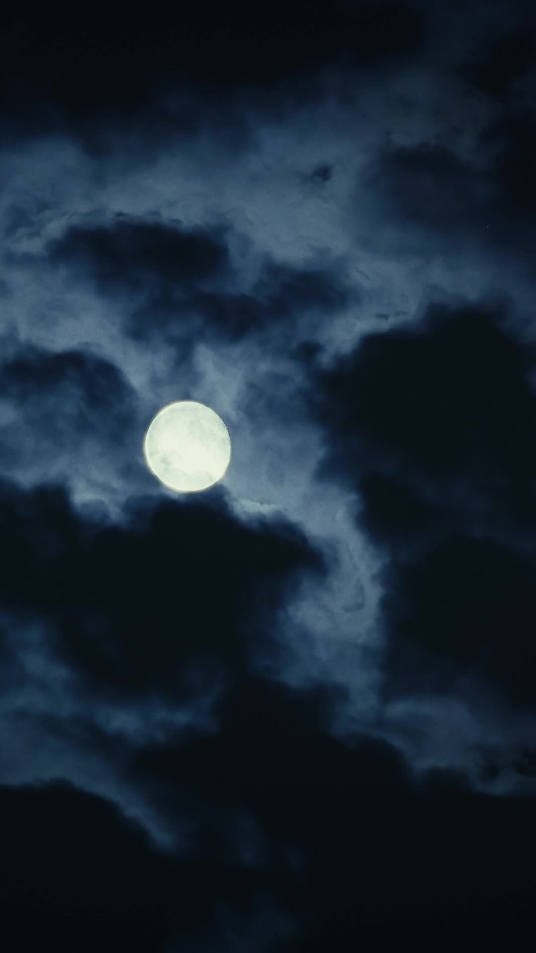 Episodio 66 de Deseada por dos: el vampiro y el cazador