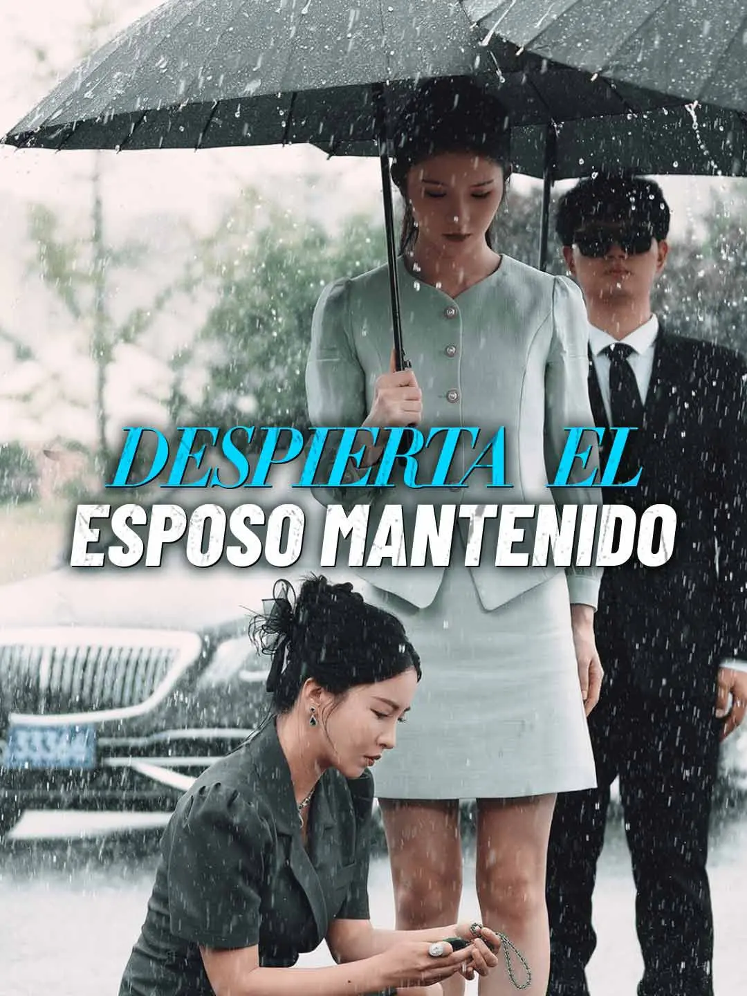 Portada de la miniserie Despierta el esposo mantenido