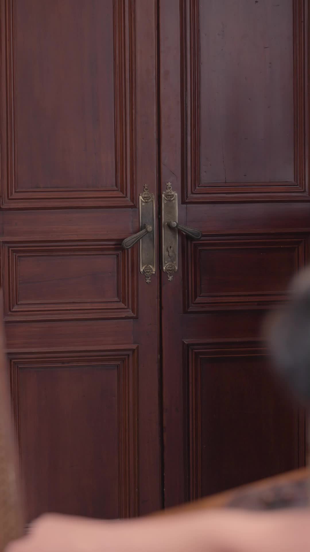 Episodio 3 de Destinada a mi Alfa Prohibido