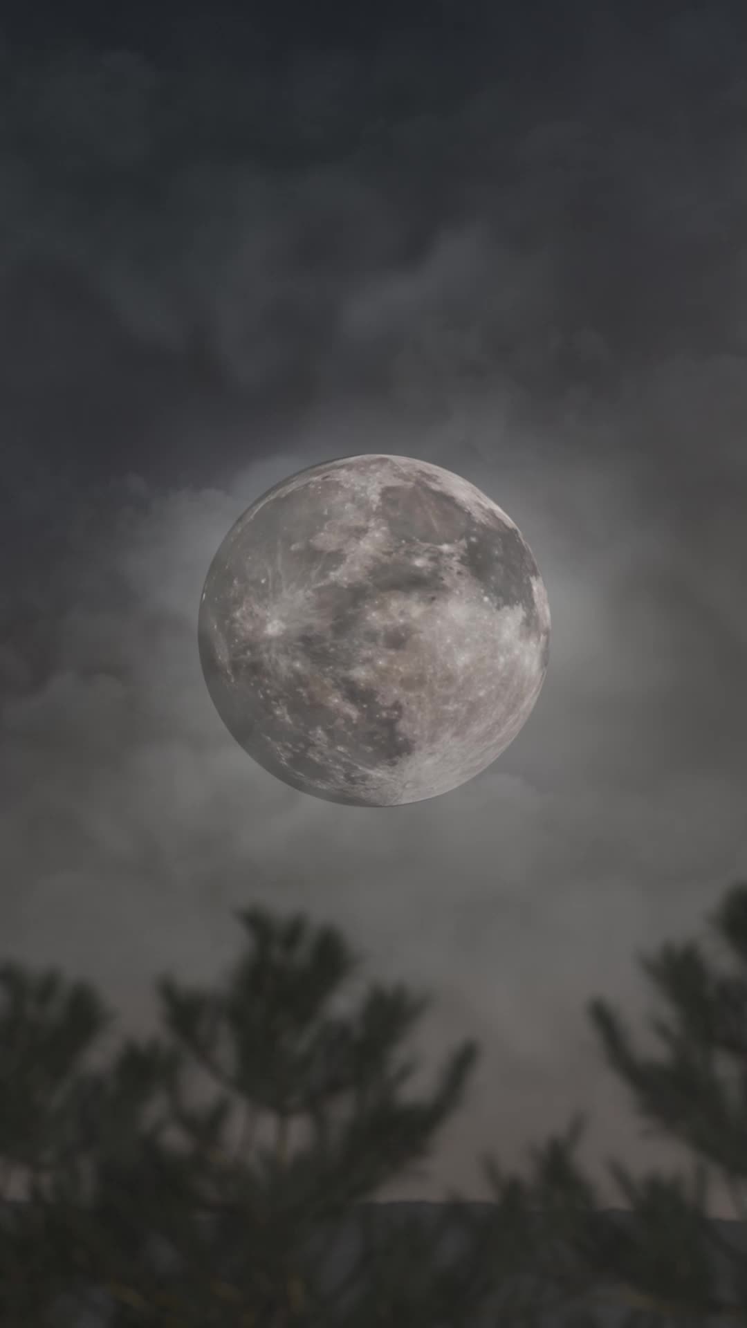 Episodio 11 de Destinada al Alfa