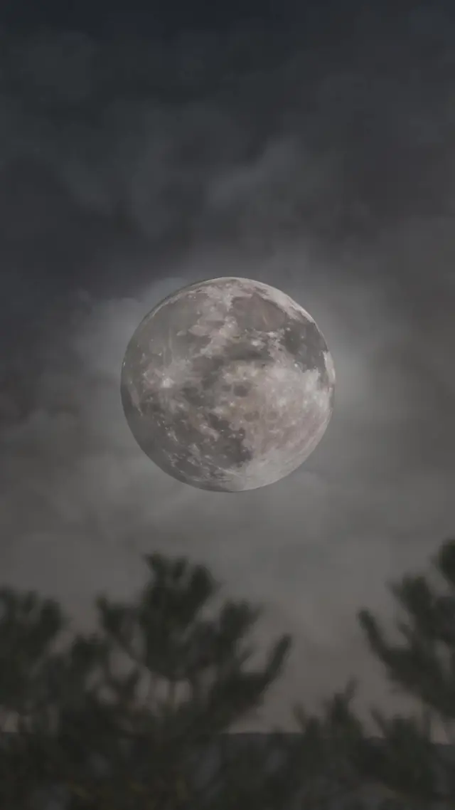 Episodio 11 de Destinada al Alfa
