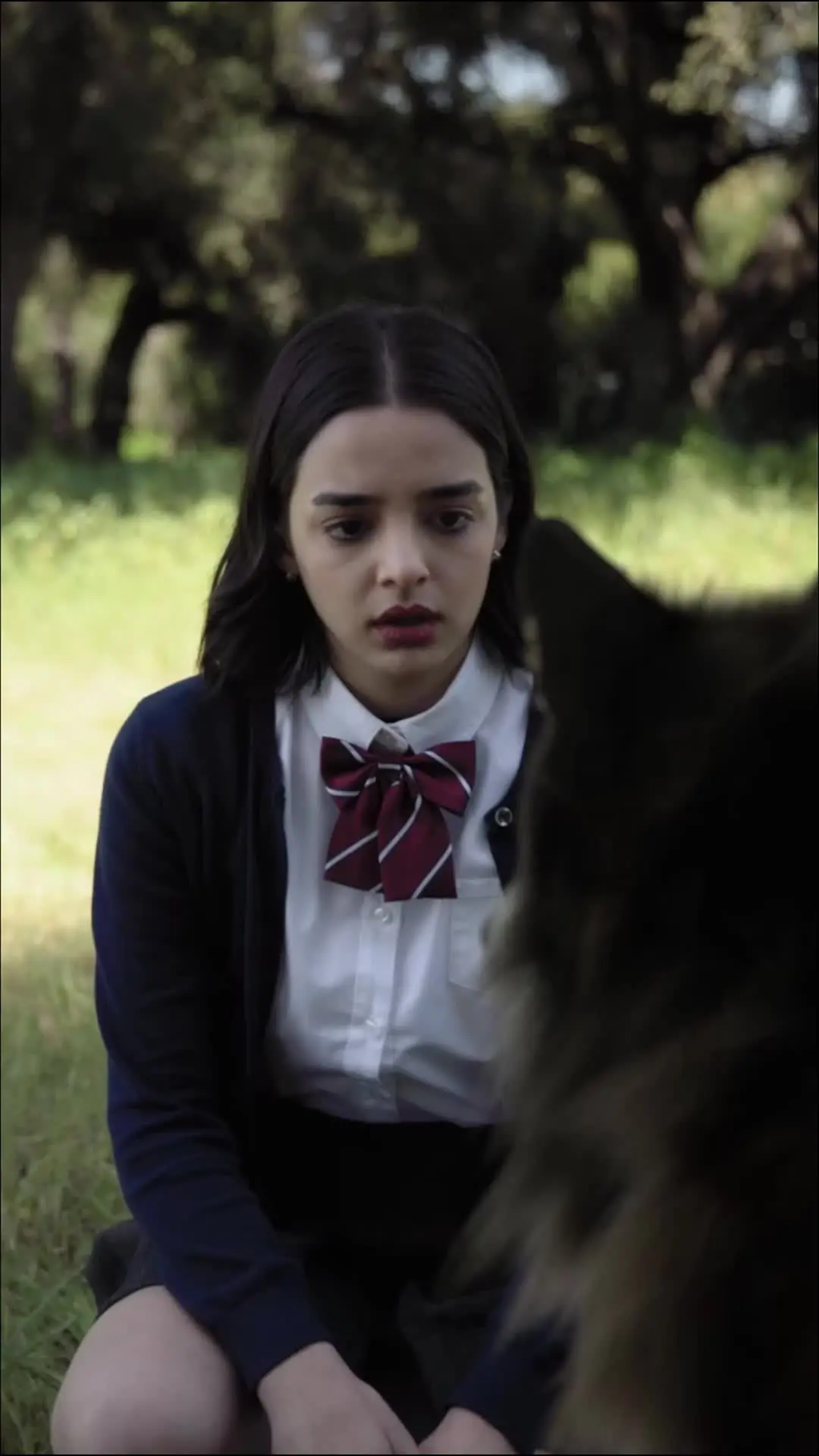 Episodio 41 de Destinado al Alfa