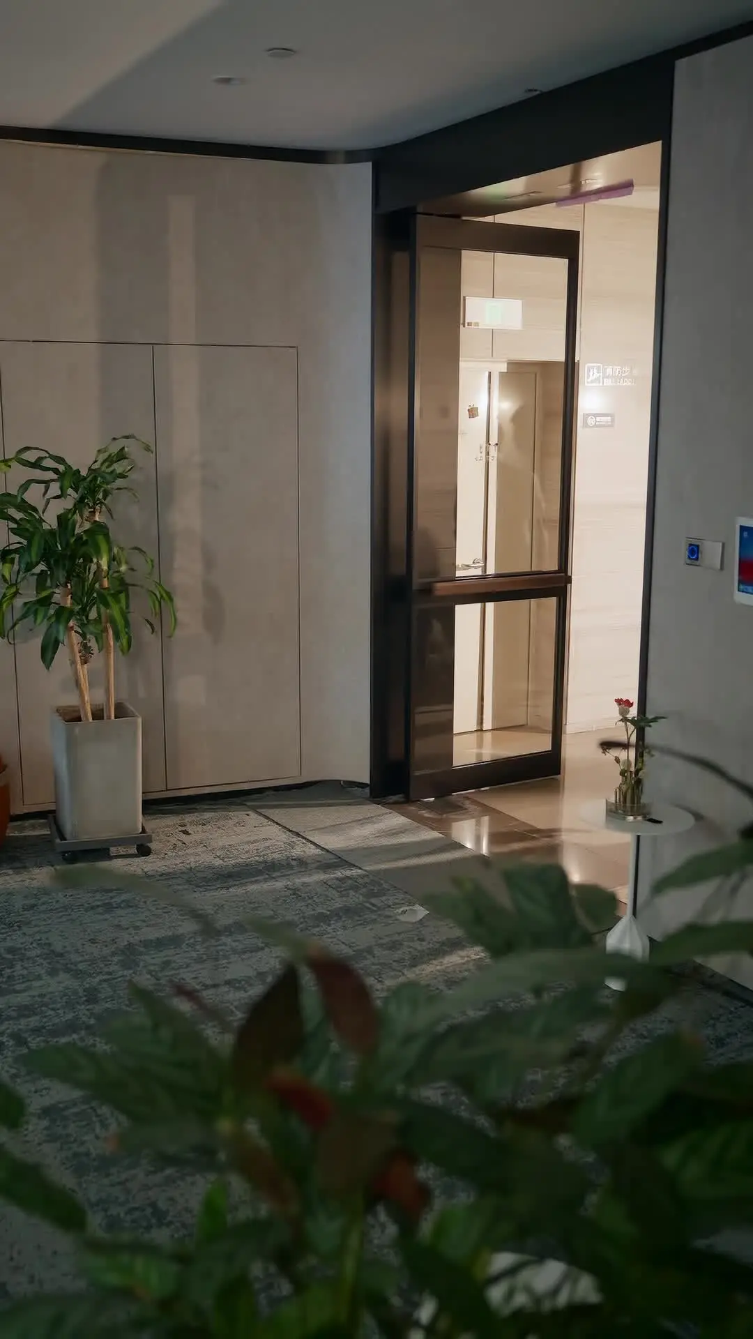 Episodio 48 de Destino escrito en las estrellas