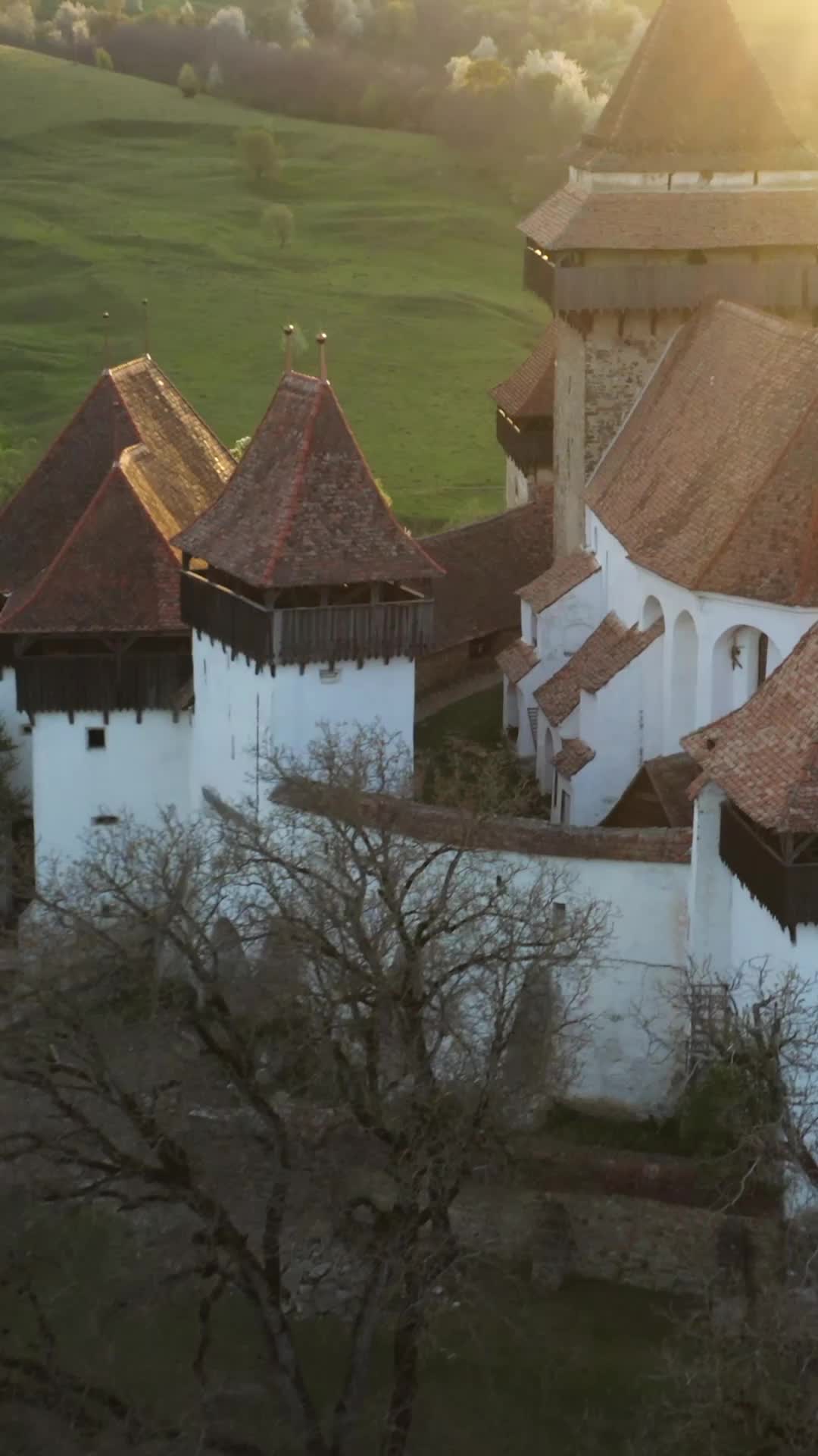 Episodio 3 de Dos Alfas Se Enamoraron de Mí