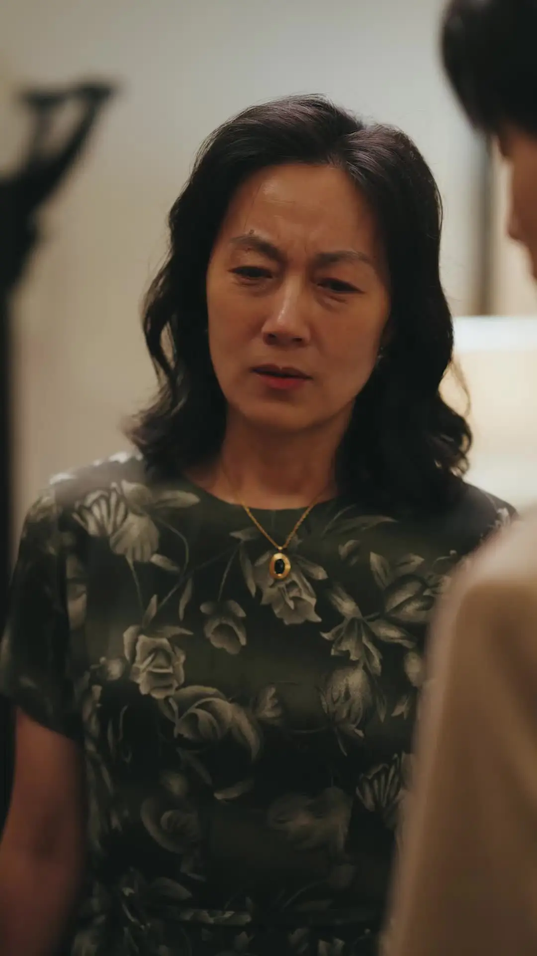Episodio 66 de Edad hacia atrás, amor hacia adelante