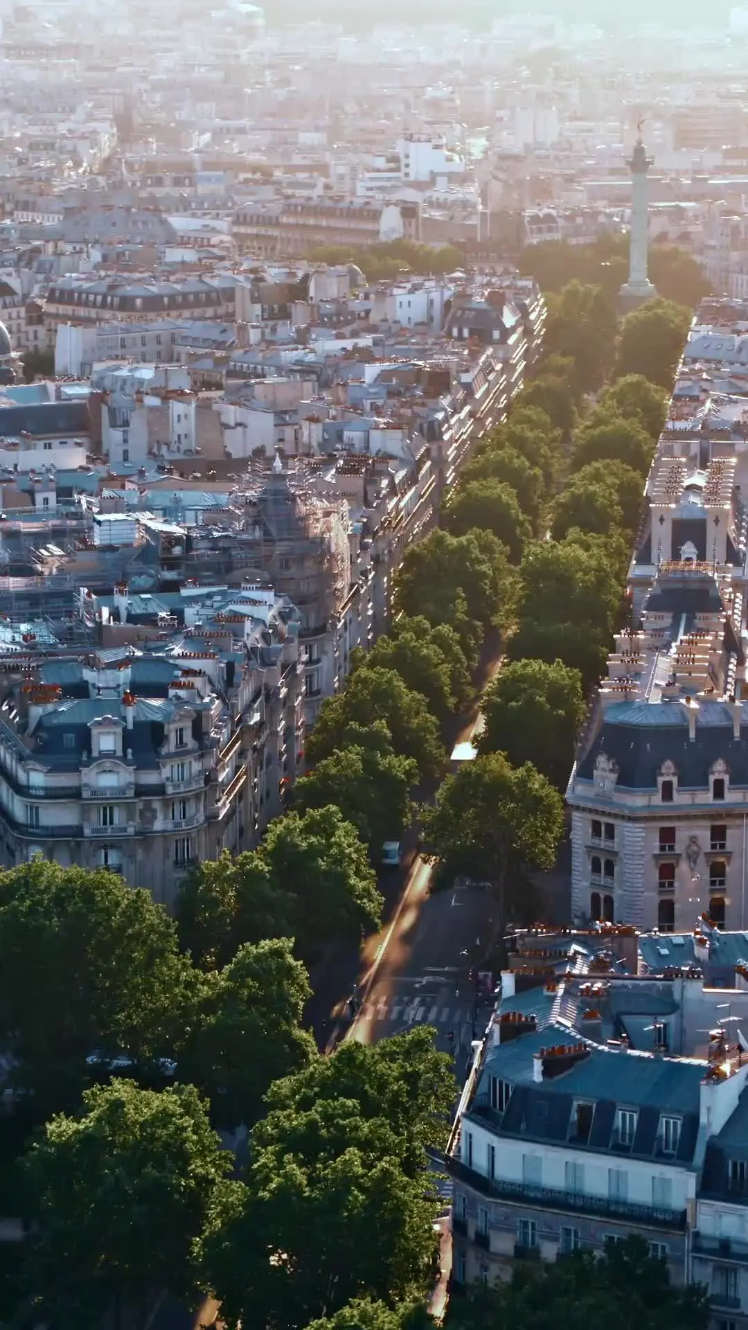 Episodio 6 de El amor la encontró en París