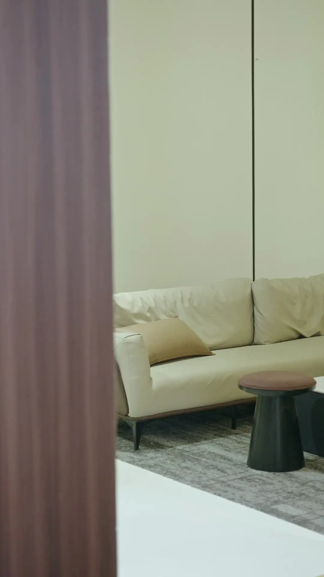 Episodio 14 de El esposo olvidado