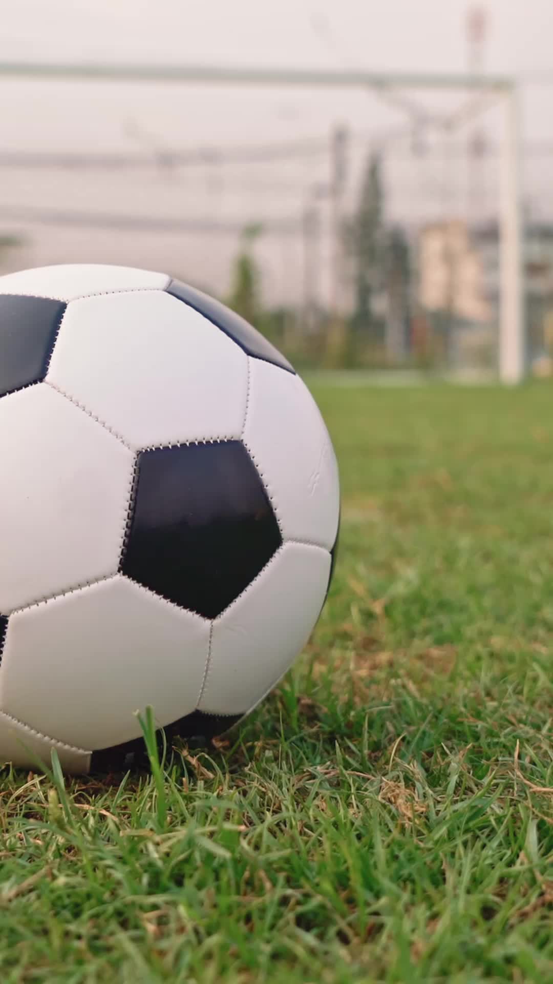Episodio 9 de El Goleador Perdido