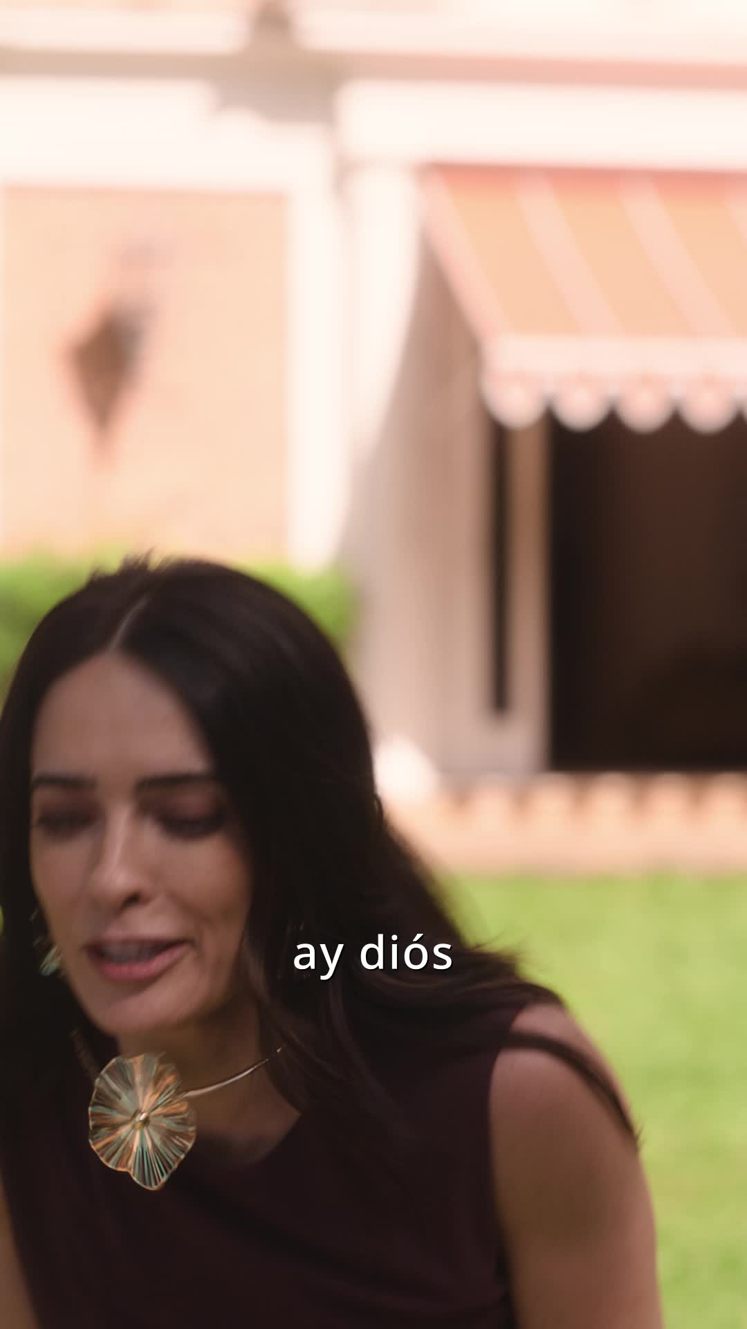 Episodio 29 de El Regreso de la Heredera Desaparecida