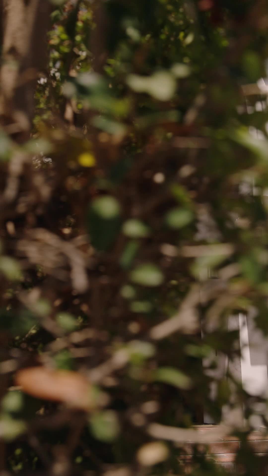 Episodio 59 de El rey mendigo regresa