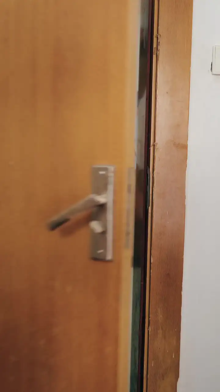 Episodio 31 de El sabio urbano: regreso en 24 horas