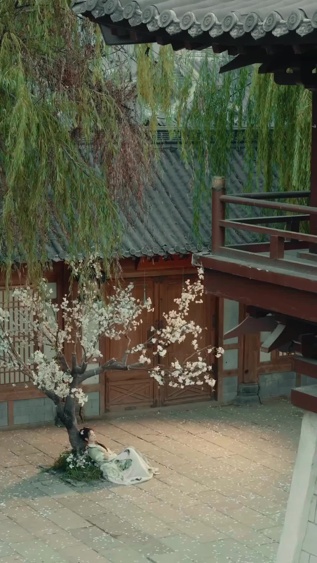 Episodio 9 de El sanador que encontré entre los muertos