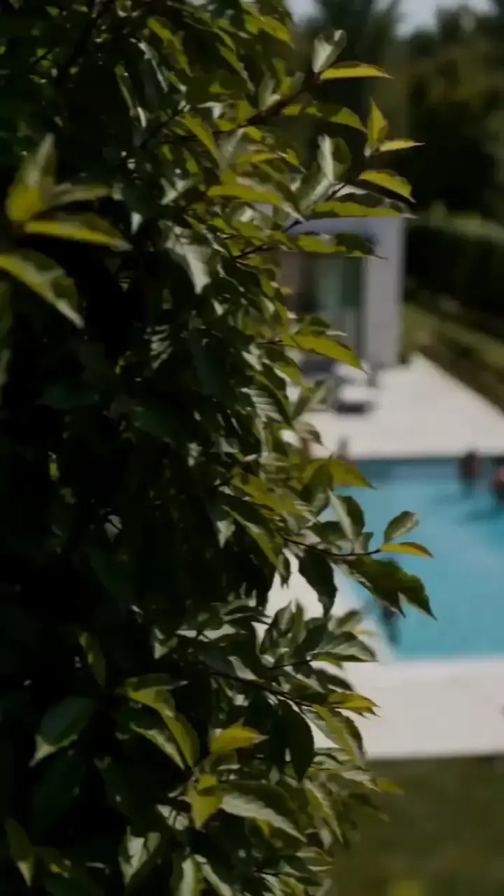 Episodio 1 de Embarazada en secreto del hijo del multimillonario