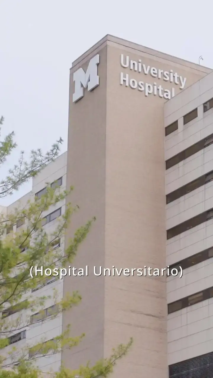Episodio 22 de Embarazo Perfecto