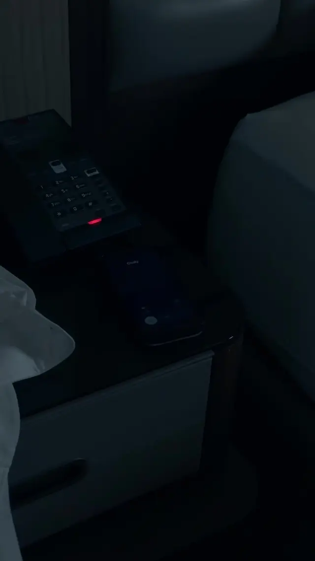 Episodio 17 de Enamorado del CEO
