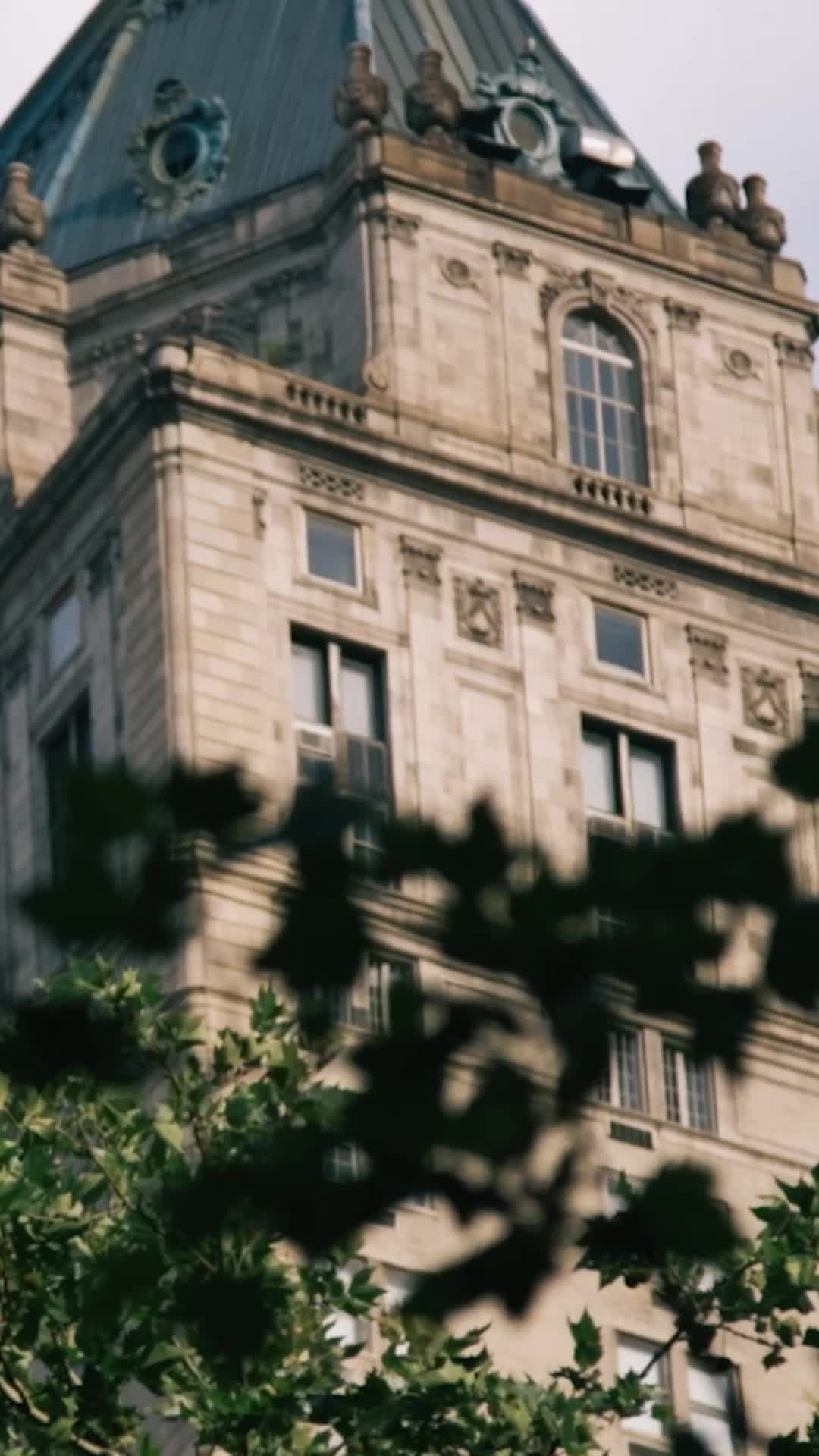 Episodio 8 de Enamorado del CEO