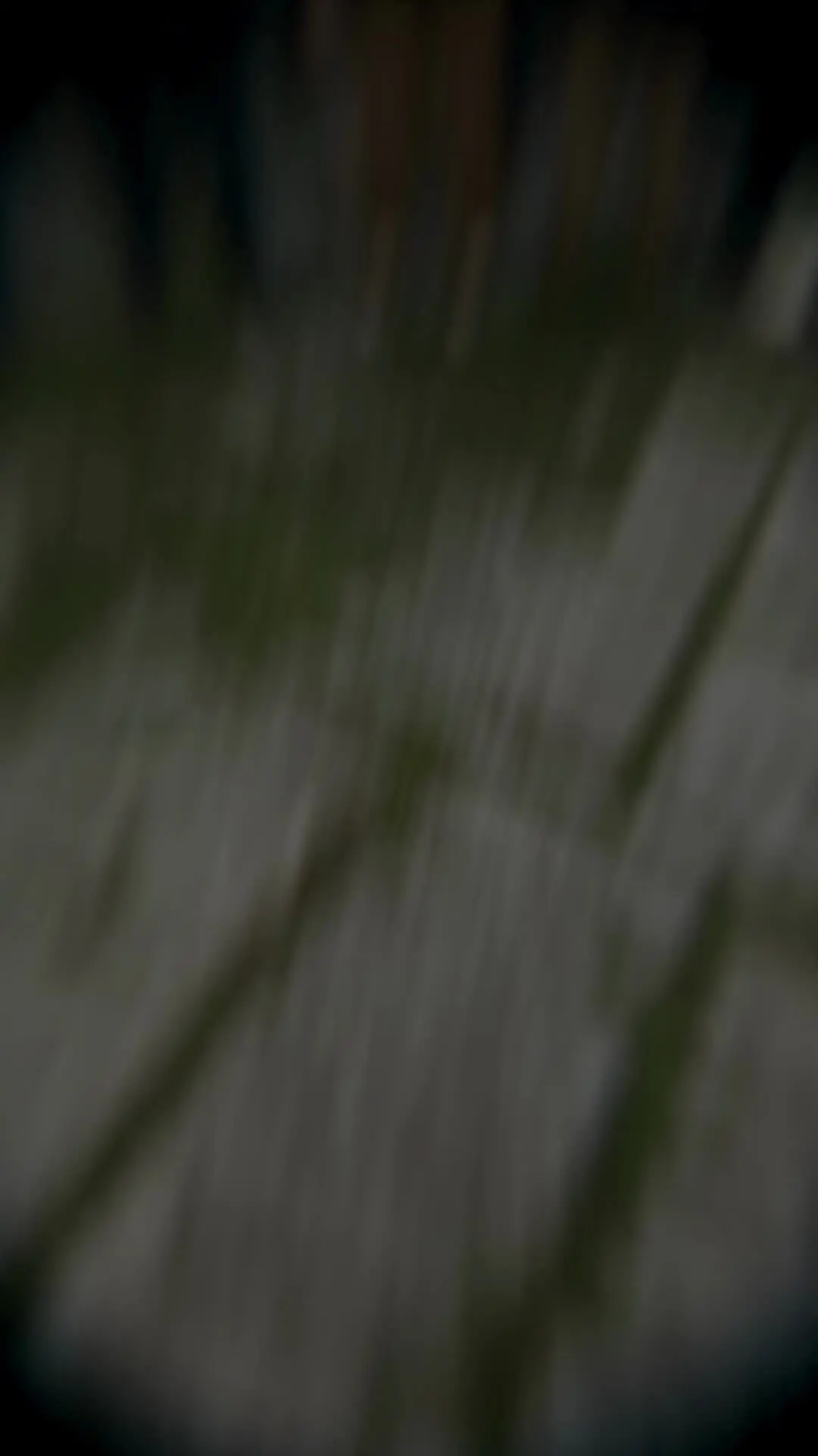 Episodio 2 de Gasta en ella y recibe 10 000 veces más en el apocalipsis