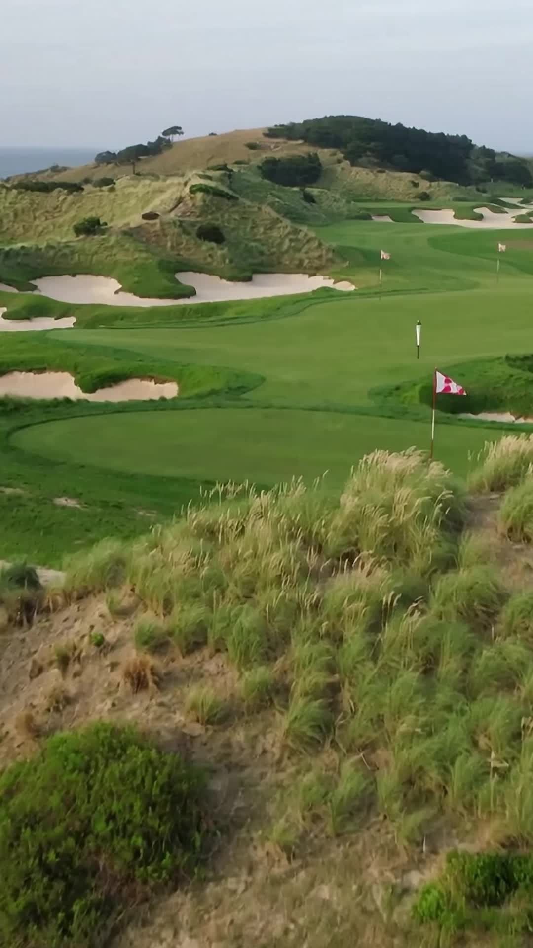 Episodio 45 de ¡Hoyo en uno! La reconquista del rey del golf