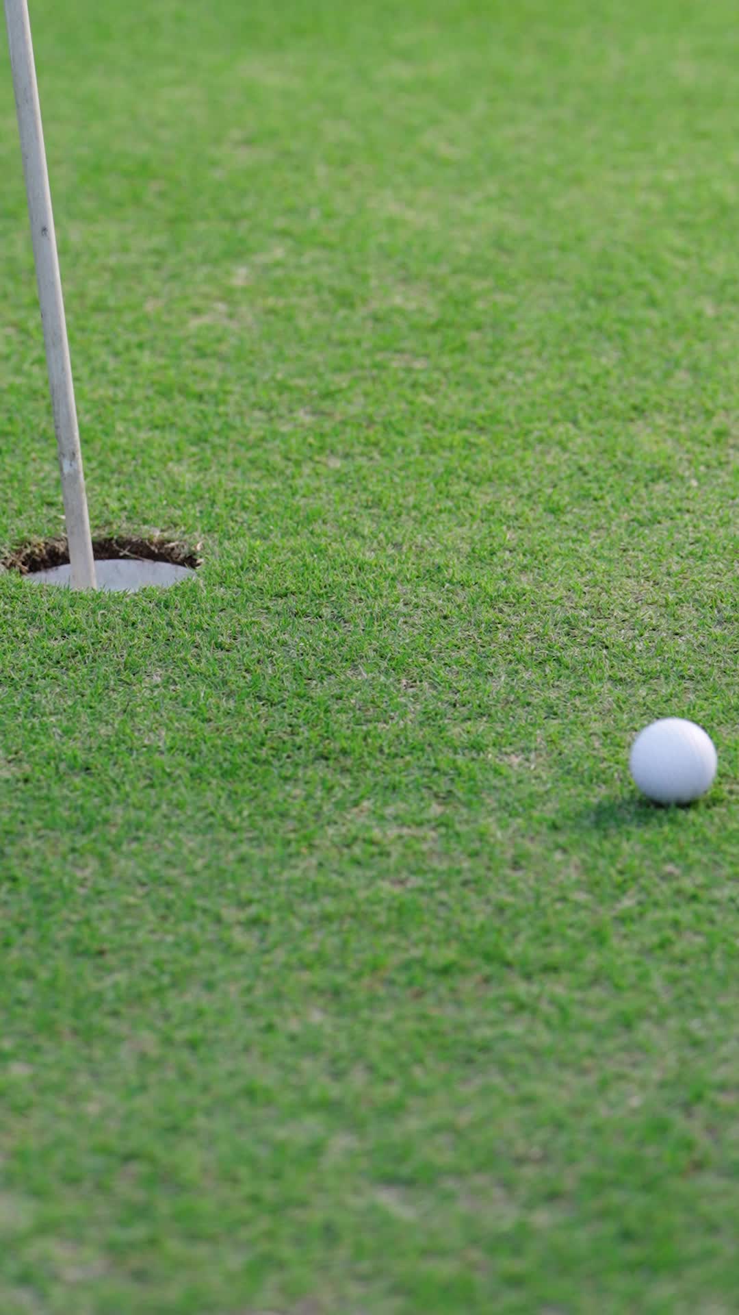 Episodio 52 de ¡Hoyo en uno! La reconquista del rey del golf
