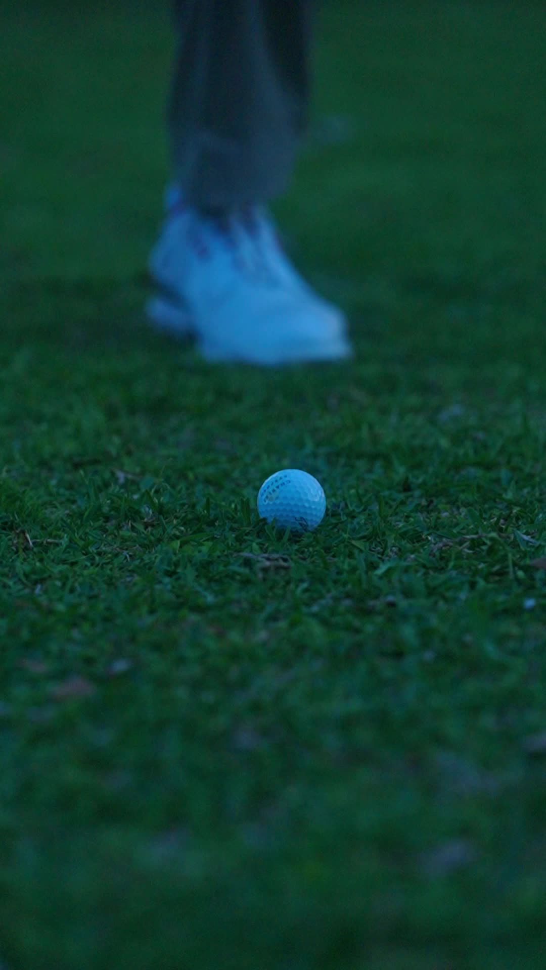 Episodio 59 de ¡Hoyo en uno! La reconquista del rey del golf