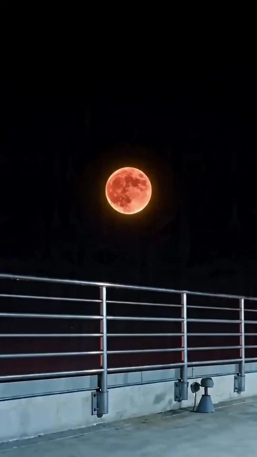 Episodio 1 de La huida de la amante del rey lobo