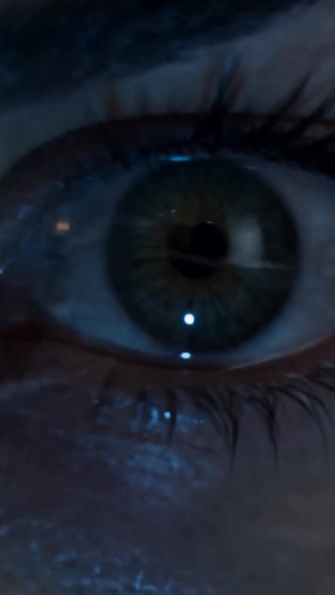 Episodio 32 de La Luna salvaje del Lycan