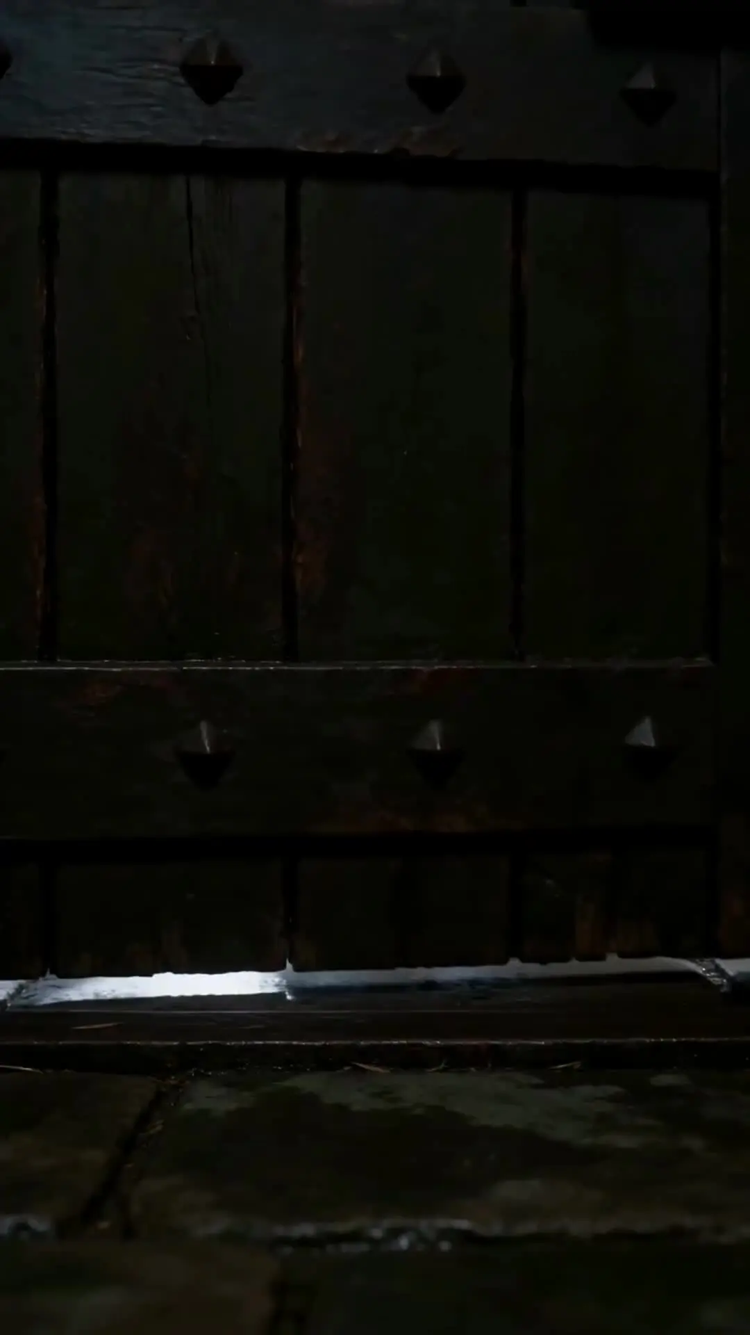 Episodio 9 de La novia desechada del alquimista