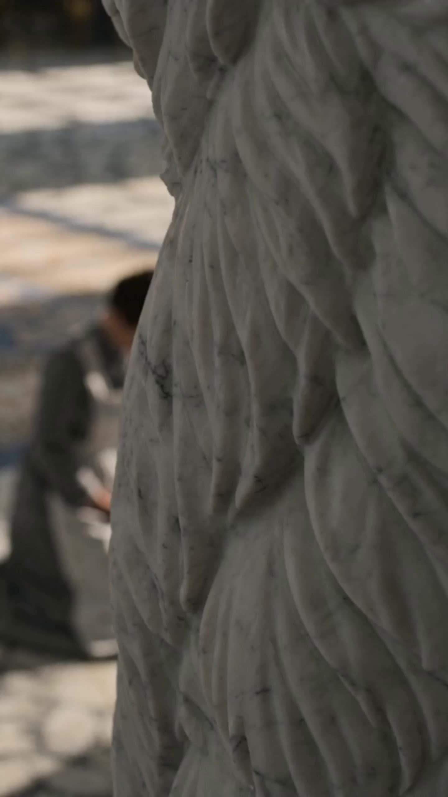 Episodio 52 de La princesa Alfa se ha ido para siempre