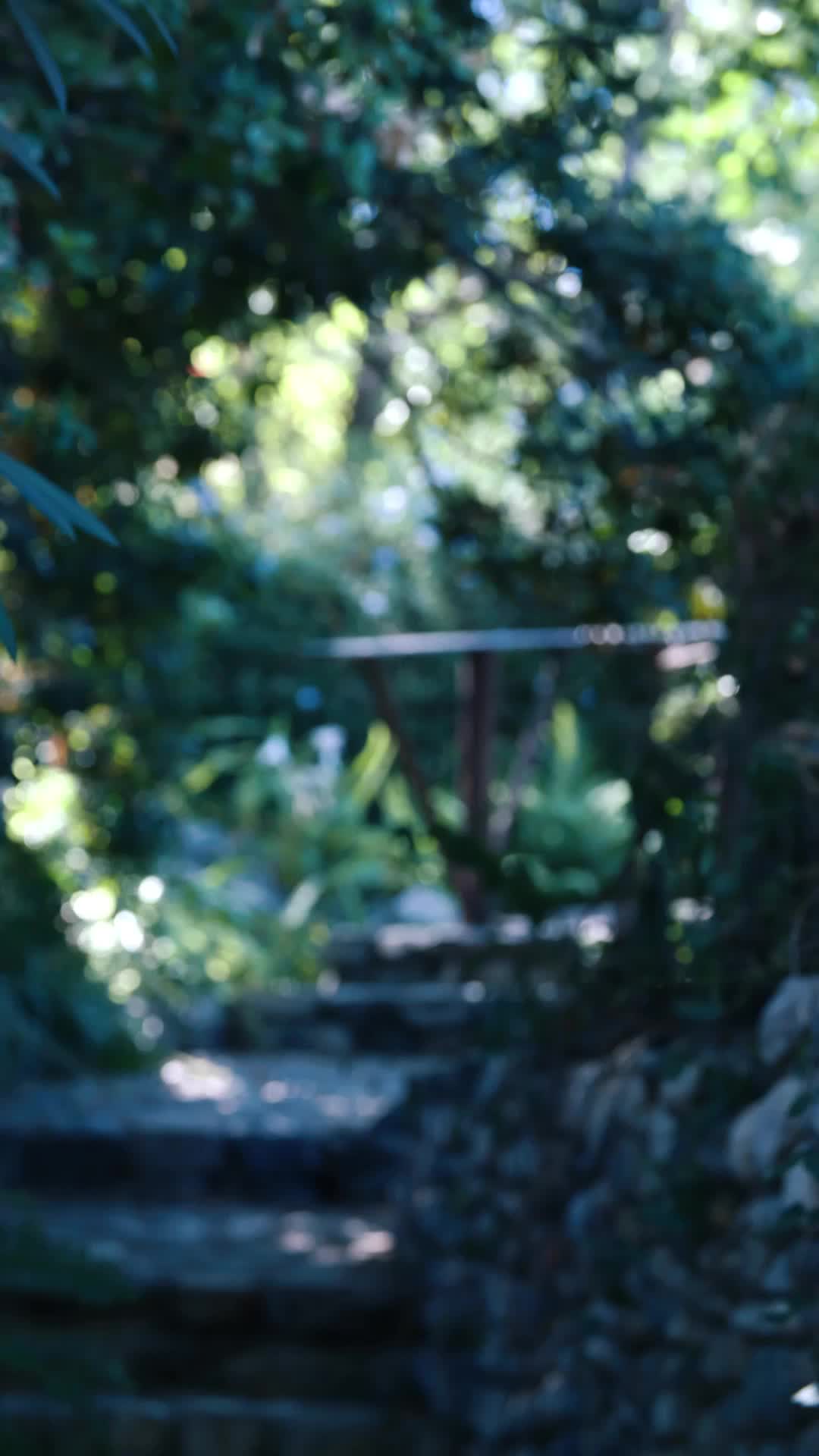 Episodio 1 de La Reina Lobo Alfa Regresa
