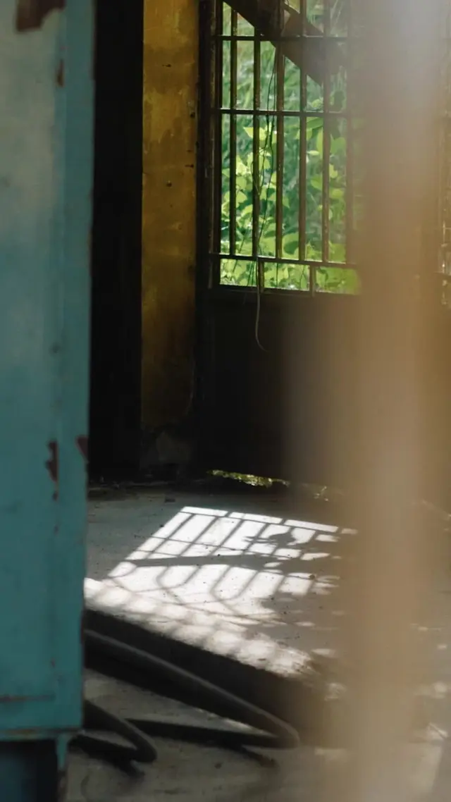 Episodio 44 de La Reina Lobo Alfa Regresa