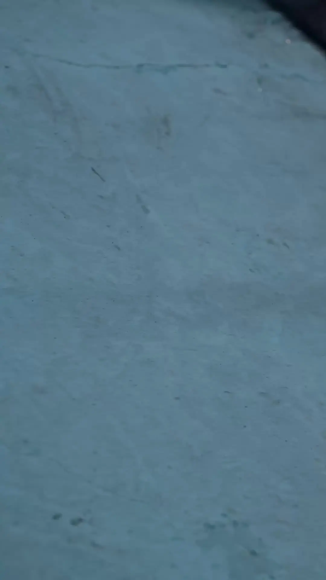 Episodio 43 de La reina que lo deja todo ir