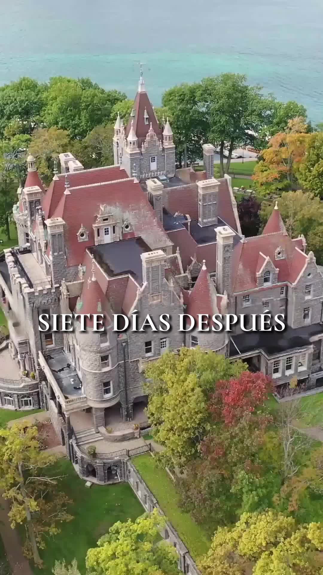 Episodio 18 de La sustituta del jefe de la mafia