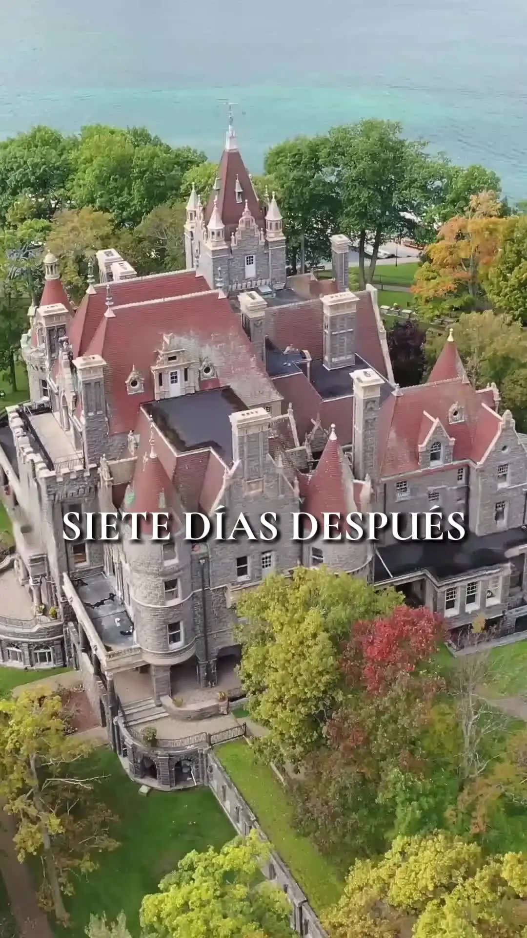 Episodio 18 de La sustituta del jefe de la mafia