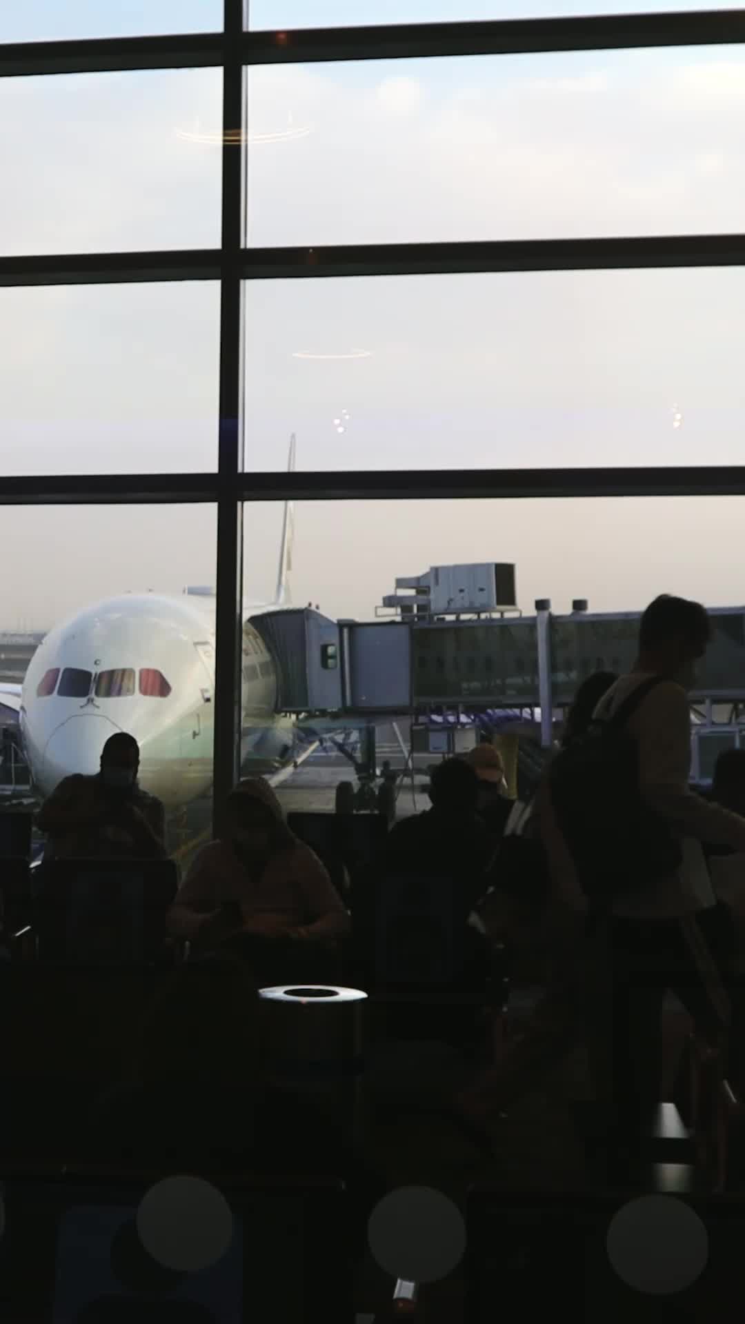 Episodio 1 de La venganza alza el vuelo