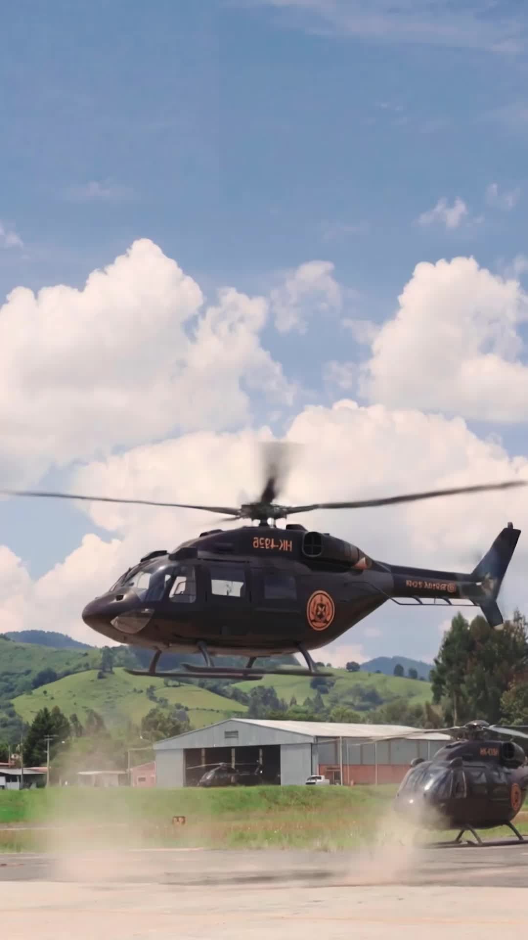 Episodio 13 de La venganza alza el vuelo
