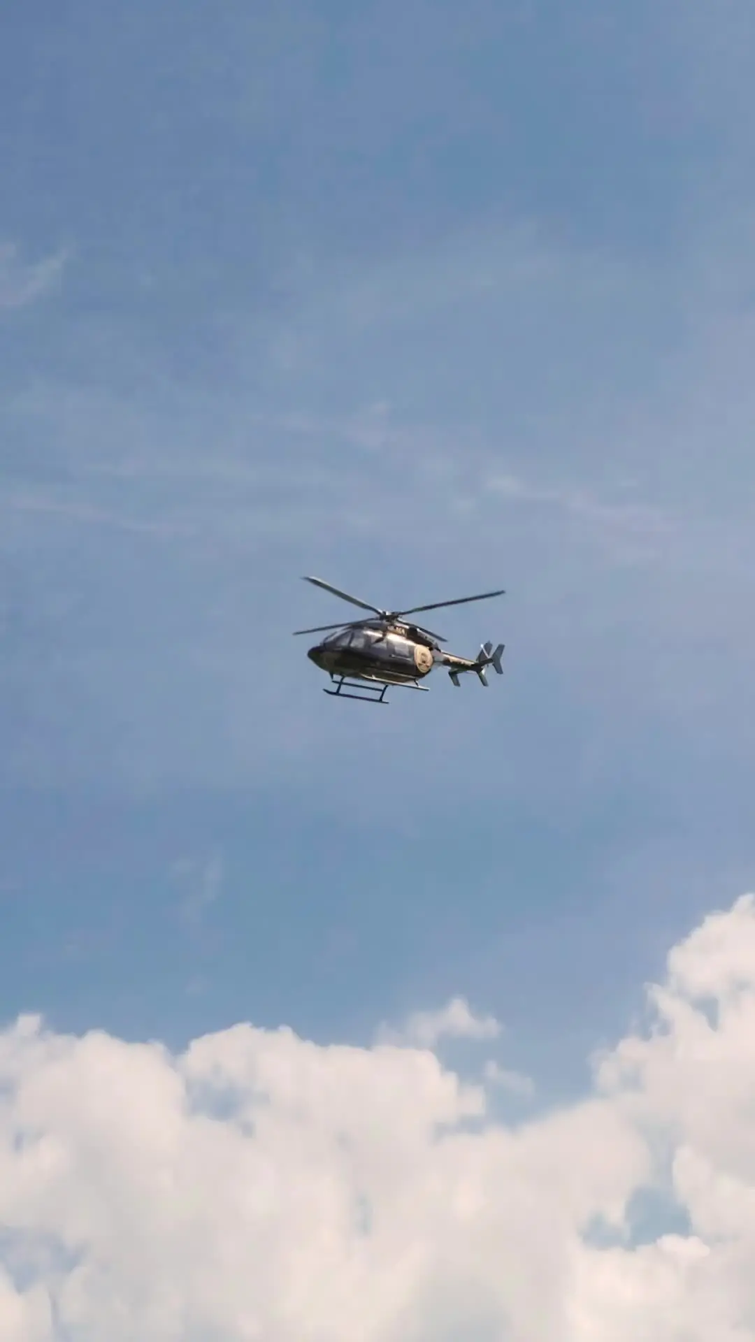 Episodio 14 de La venganza alza el vuelo